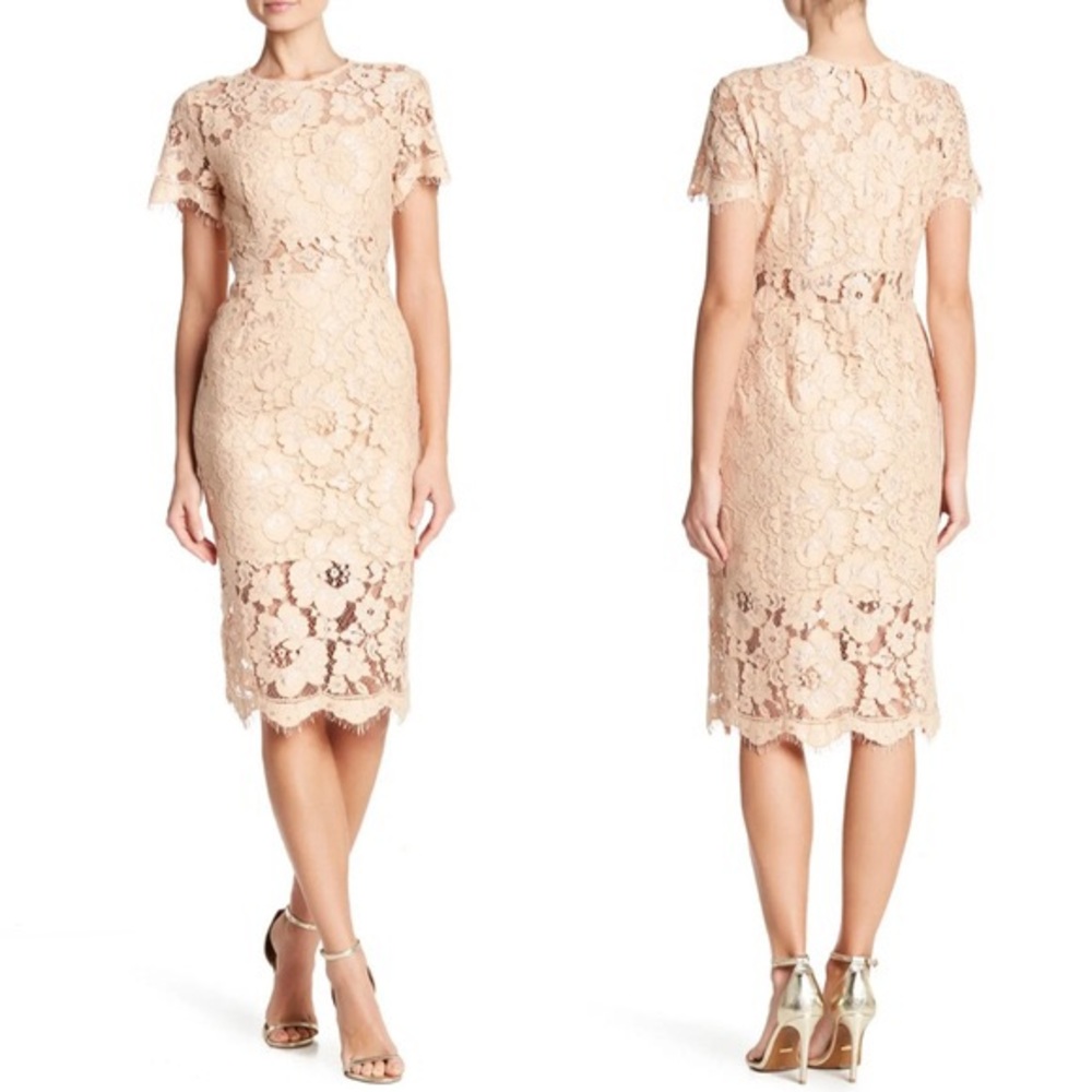 NWOT NSR Lace Short Sleeve Midi Dress in Beige
